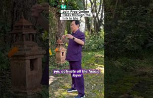 FREE Online Class on Qigong by Master Mantak Chia🔥