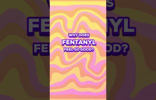 Fentanyl Explained