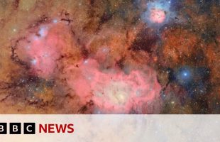 First images from powerful new telescope released | BBC News