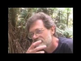 Galaxies Are Organisms (Terence Mckenna)
