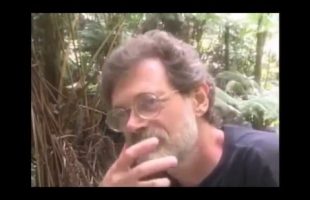 Galaxies Are Organisms (Terence Mckenna)