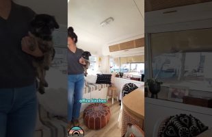 Her Stunning Renovated Tiny House #shorts