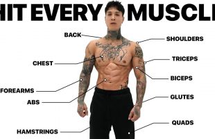 Hit EVERY Muscle In Just 7 MINUTES (Follow Along)