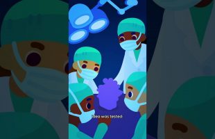 How Chicken Heads Stopped Rabies