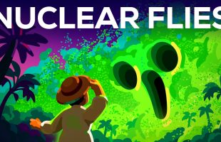 How Nuclear Flies Protect You from Flesh-Eating Parasites