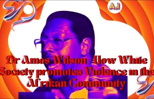 How White Society Promotes Violence in the Afrikan Community // Dr Amos Wilson