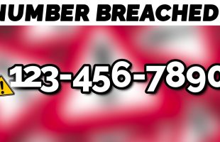 Is Your Phone Number Leaked Online?