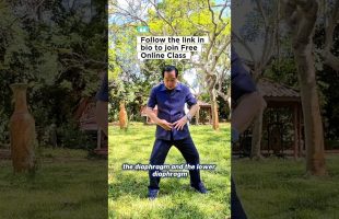 Join Free Online Class with Master Mantak Chia ☯️✨