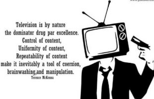 Neotenyzing effect of TV on the Population (Terence Mckenna)