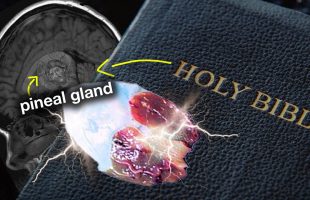 OMG! The Bible gives PRECISE INSTRUCTIONS about the PINEAL GLAND