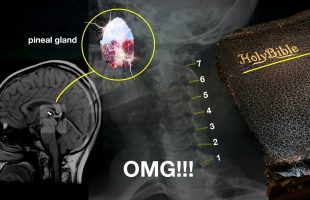 OMG! Why is nobody talking about this???  (Hidden Messages in the Bible)