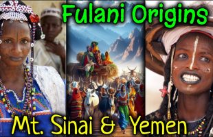 Origin Of Fulani, Fulbe, Torodbe, Trakur People / Esau, Ishmael, Uqba ibn Nāfi / Yemen / Mt. Sinai
