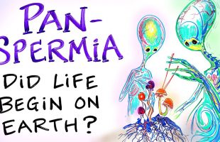 PANSPERMIA – Did Life Begin on Earth? Are Mushrooms USING US to Get to Space?