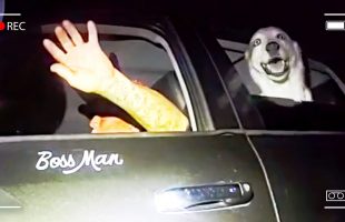 Police Find Passed Out Driver, Then He Suddenly Floors It