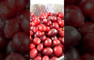 Powerful Cranberries!!