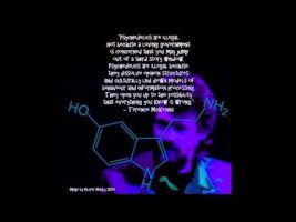 Psychedelics are Illegal not Because a Loving Government […] (Terence Mckenna)