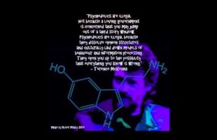Psychedelics are Illegal not Because a Loving Government […] (Terence Mckenna)