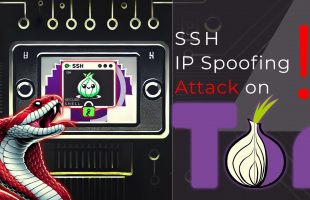 SSH IP Spoofing Attack on Tor