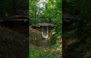 Semi-Buried Cabins Are Amazing! 🤩 #cabin #offgrid
