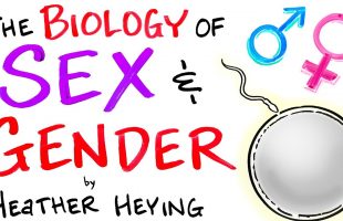 Sex & Gender: An Evolutionary Perspective – Heather Heying