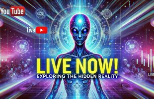 Simulation Talk #186