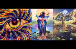 States of Mind and Hierarchies of Organism (Terence Mckenna, Ralph Abraham, Rupert Sheldrake)