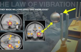 ‘Suddenly I started making a lot of money’  | This is How to Use THE LAW OF VIBRATION CORRECTLY