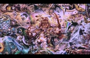 Terence McKennas Plea To Scientists (Movie Excerpt)