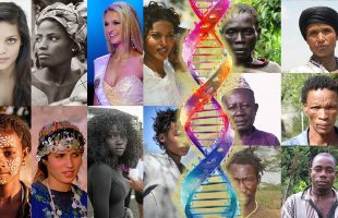 The African Vs African American Genome