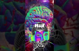 The Mind Is All