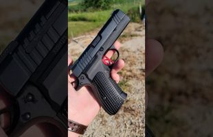 The New DWX Compact from Dan Wesson