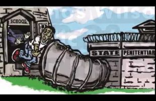 The Public School to Prison Pipeline – Dr.Amos Wilson