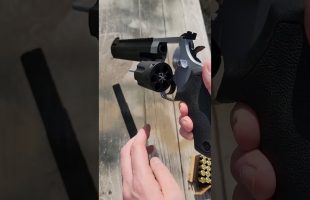 The Raging Hunter 44 Magnum