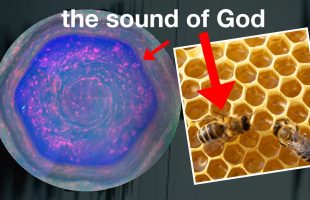 The Sound That Transforms Every Cell in Your Body (the sound of God)