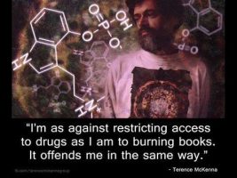 The Trivialization of Being + Language About the Unspeakable (Terence Mckenna)