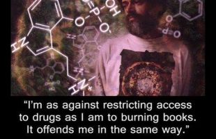 The Trivialization of Being + Language About the Unspeakable (Terence Mckenna)