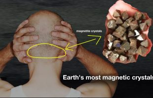 They Found Crystals in Human Brains: “They decode all the frequencies”