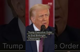 Trump issues an executive order in an attempt to end birthright citizenship.