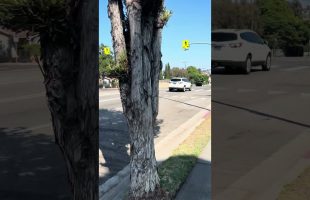 Walk With Me | Crenshaw and Slauson