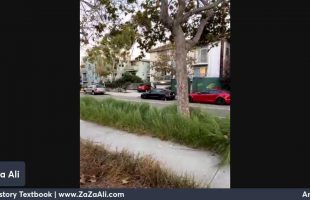 Walk with Me | Venice Canals