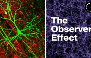Weird Things Begin to Happen When You Examine Consciousness