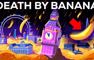 What If It Rains Bananas For A Single Day? (Spoiler: It’s Bad)