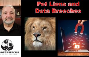 Who should be held responsible when a data is stolen or a pet lion escapes?
