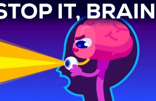 Why Your Brain Blinds You For 2 Hours Every Day