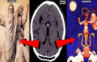 YAHWEH the PINEAL GLAND & Jesus the Anguiped: Ancient AI SIMULATION