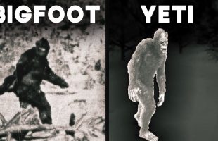 Bigfoot vs. Yeti – The Ultimate Mystery Unveiled