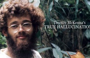 Energy and Time (Terence McKenna Movie Teaser)