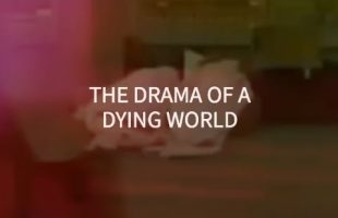Fate Of The Whole Planet (Terence McKenna)