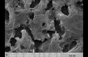 How the Next Big Solar Panel Tech is Already Here