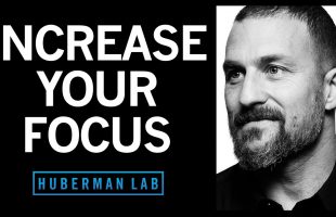 How to Quickly Improve Focus – Andrew Huberman